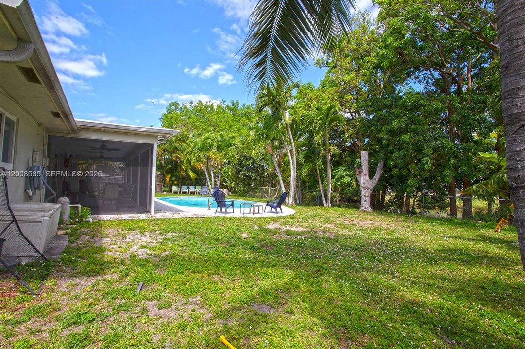 EXTRA LARGE BACKYARD