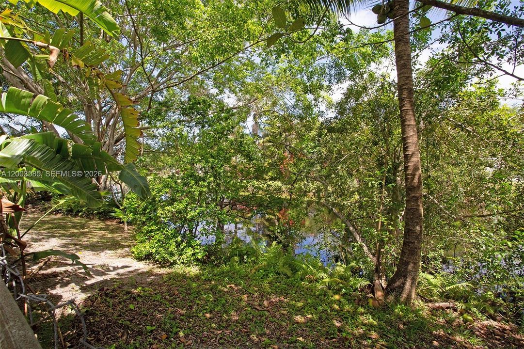 TREES FOR BACKYARD SHADE