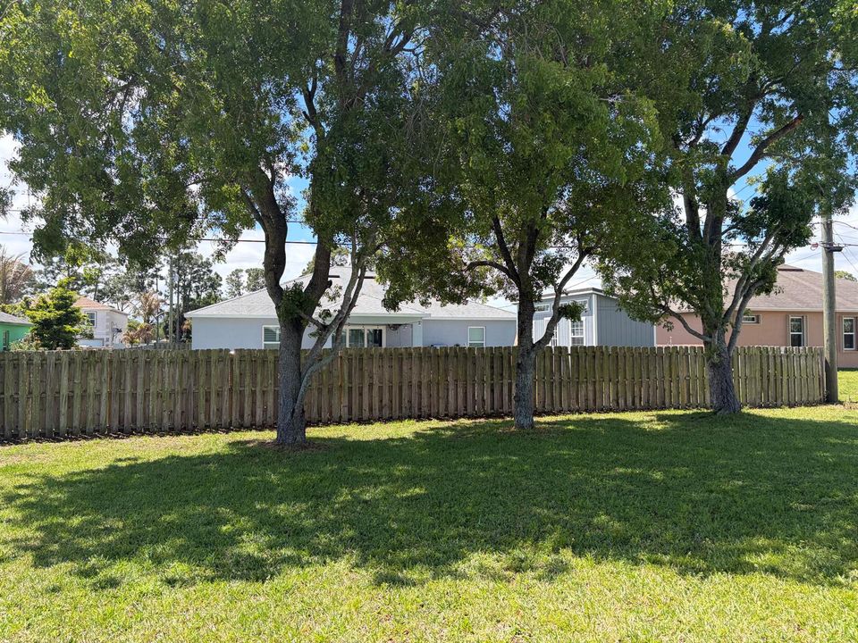 back yard