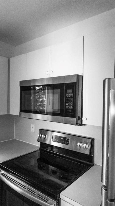 4-kitchen_appliances_homestead