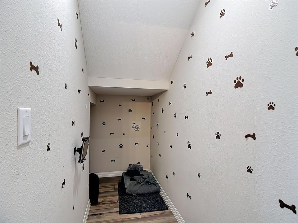 Storage Closet Under Stair