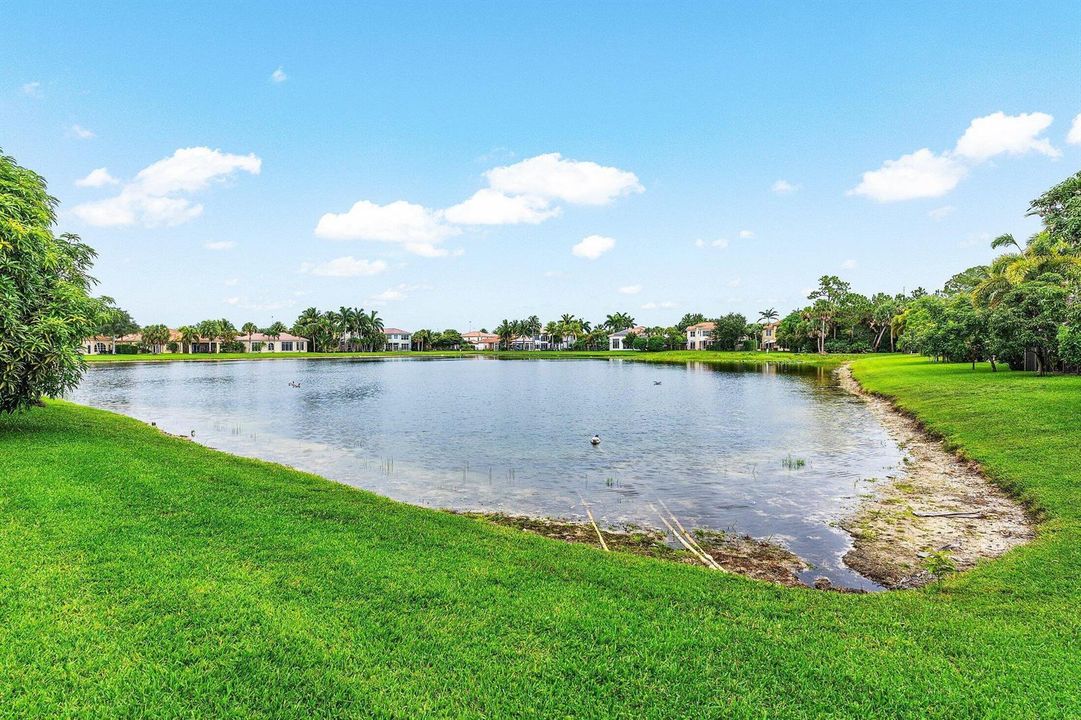 View from the Lake