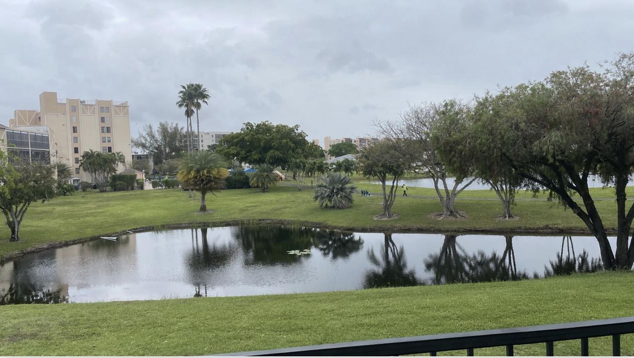 View from Patio