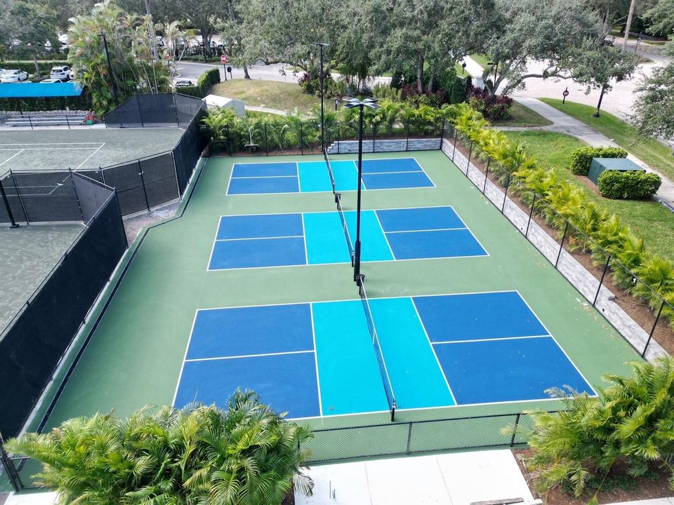 Pickleball1