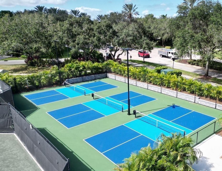 Pickleball2