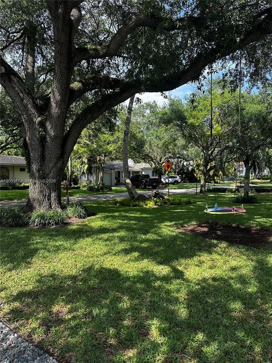 Front Yard