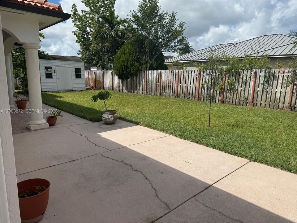 Backyard