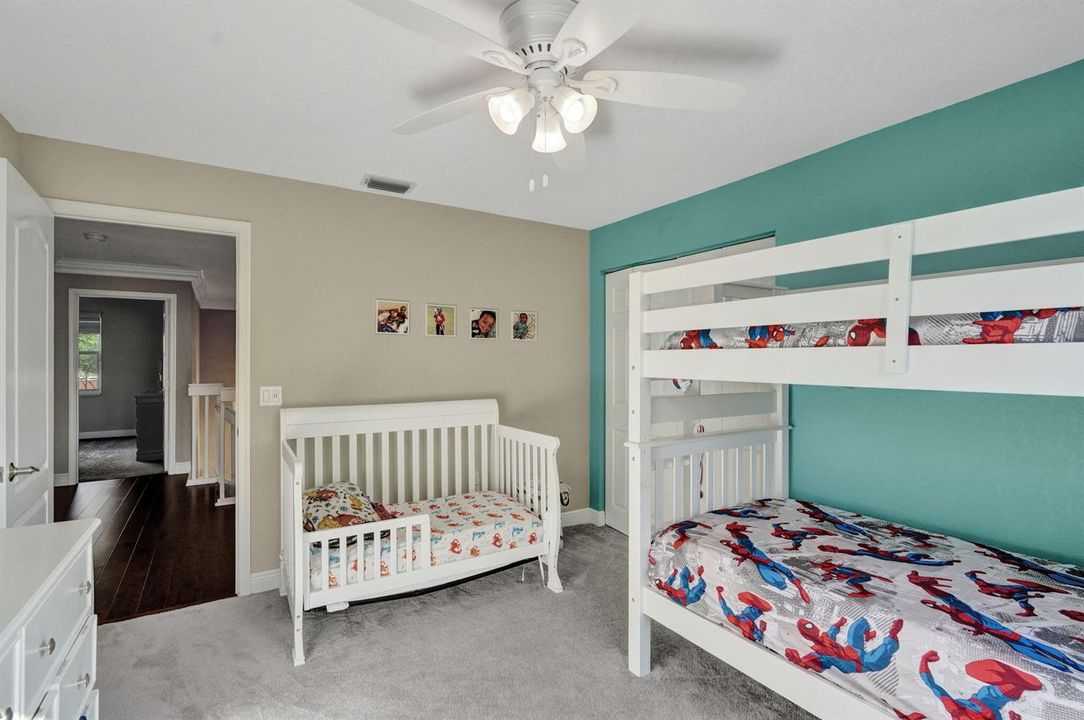 37-web-or-mls-DSC05043