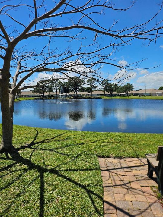 Community lake