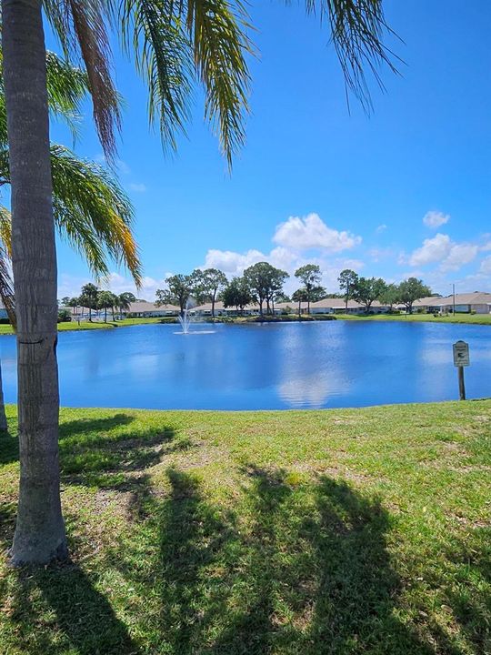 Community lake