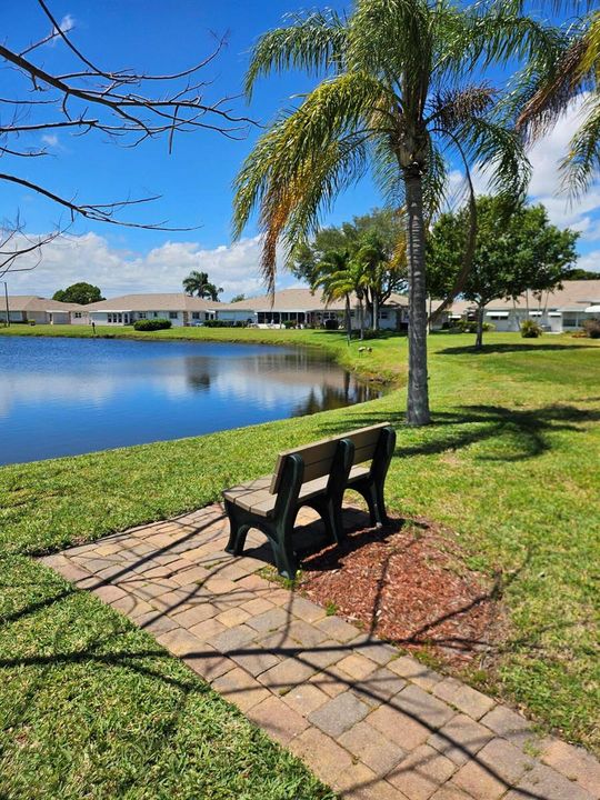 Community lake
