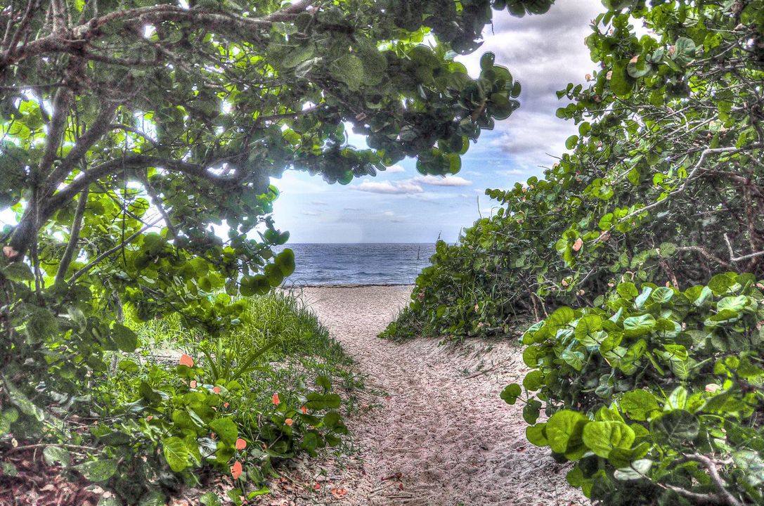 2860 S Ocean Blvd 415 Palm-print-048-022