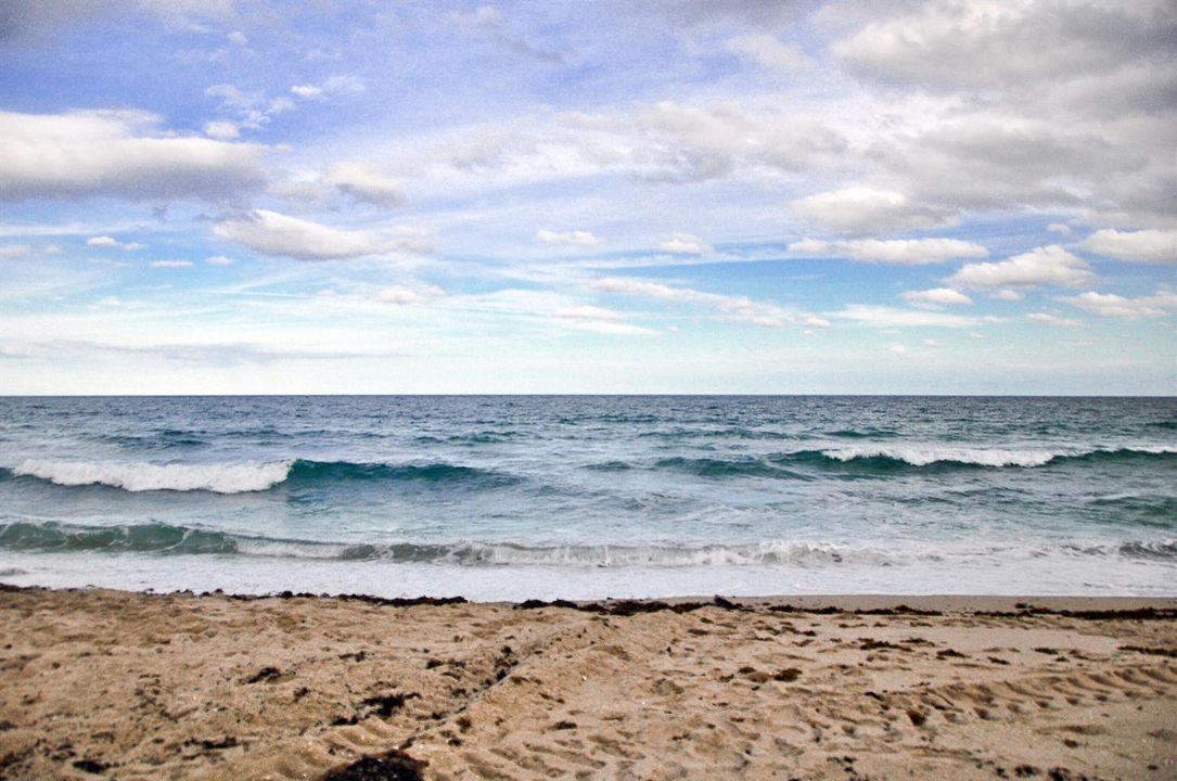 2860 S Ocean Blvd 415 Palm-print-049-017