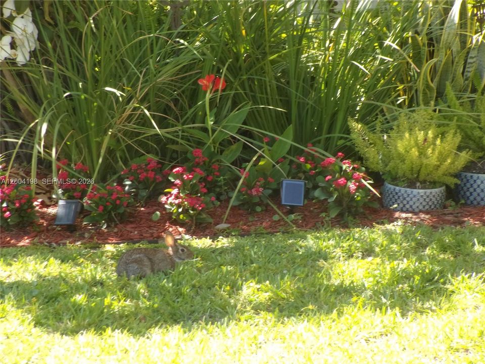 Chasewood is conveniently located, but still brings nature to your front door