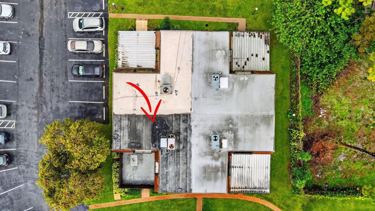 52-web-or-mls-DJI_0383
