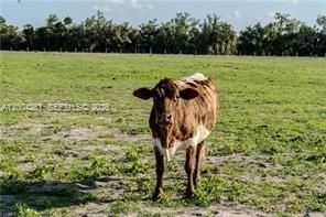 515 Norris Rd, LaBelle FL 33935