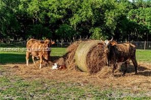 515 Norris Rd, LaBelle FL 33935
