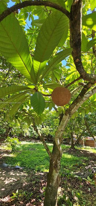 На продажу: $498,000 (0 спален, 0 ванн, 0 Квадратных фут)