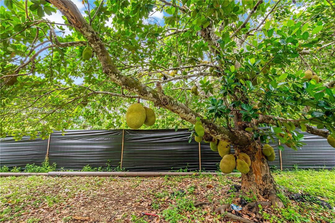 En Venta: $855,000 (3 camas, 2 baños, 2407 Pies cuadrados)