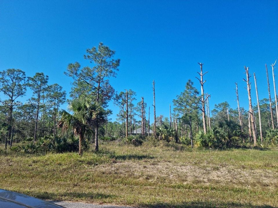 For Sale: $34,900 (0.50 acres)