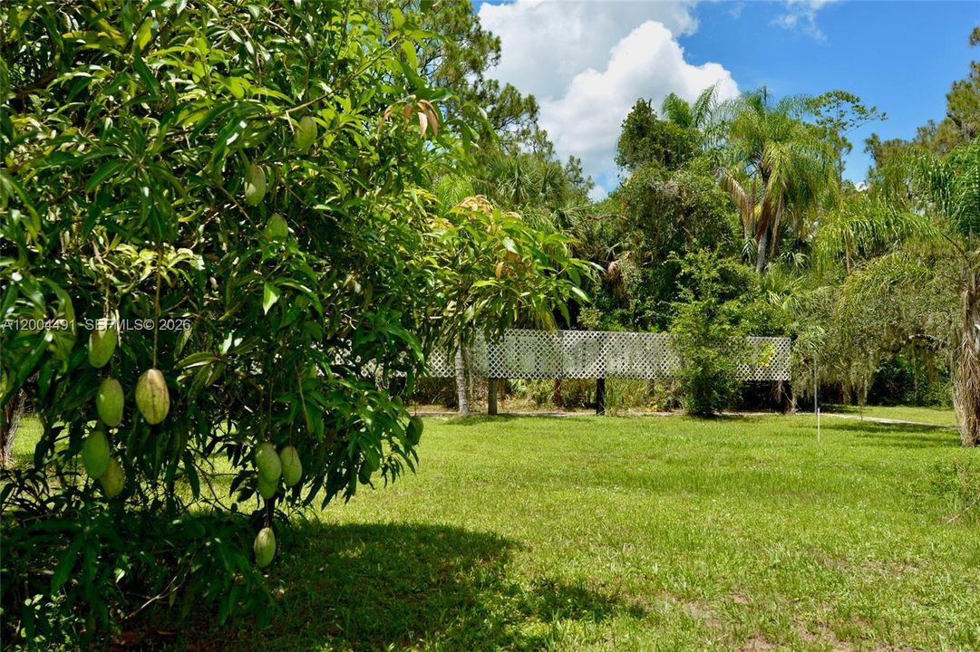For Sale: $999,999 (5 beds, 3 baths, 0 Square Feet)
