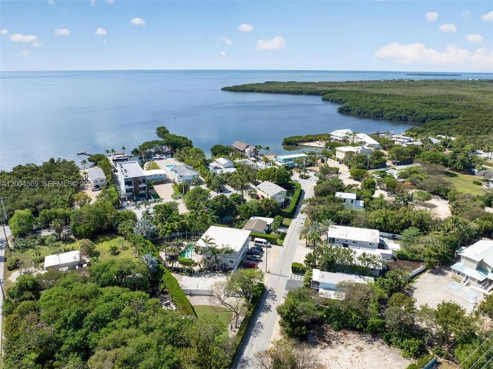 A tropical haven tucked among luxury estates.