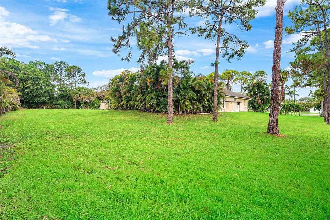 Large backyard