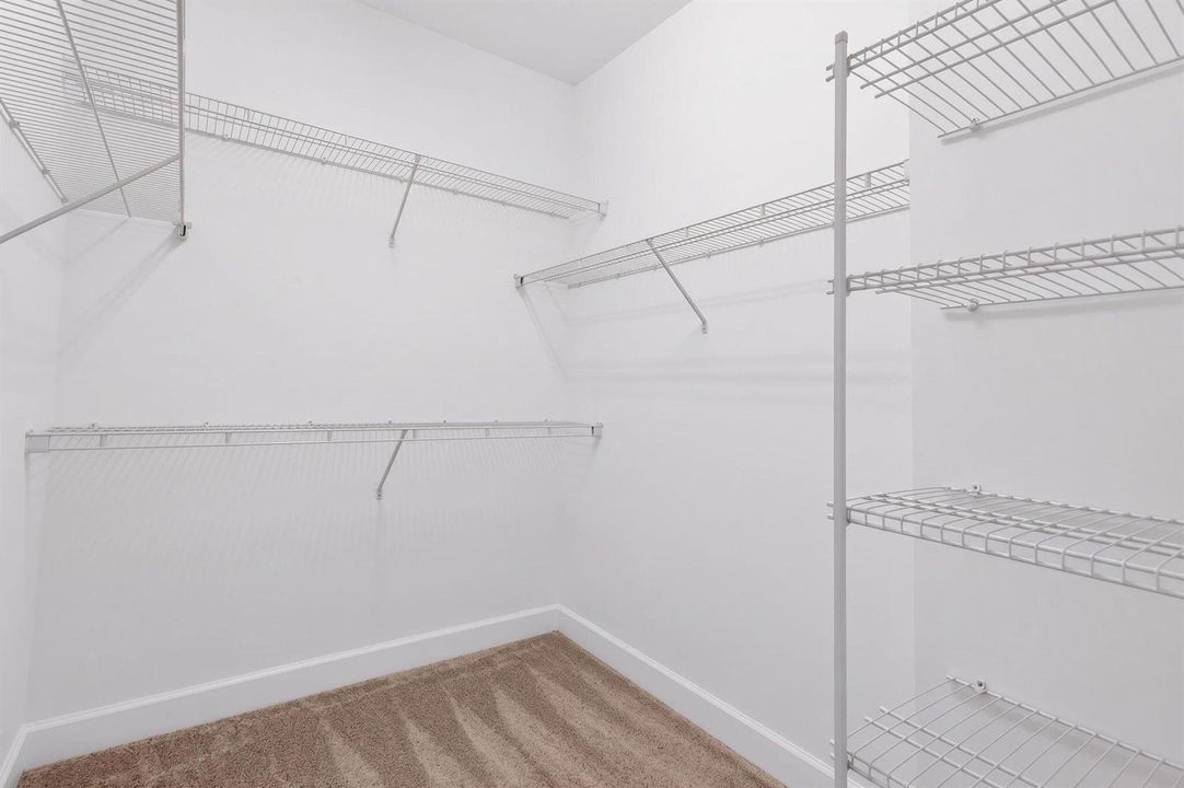 25-web-or-mls-5P1A4890