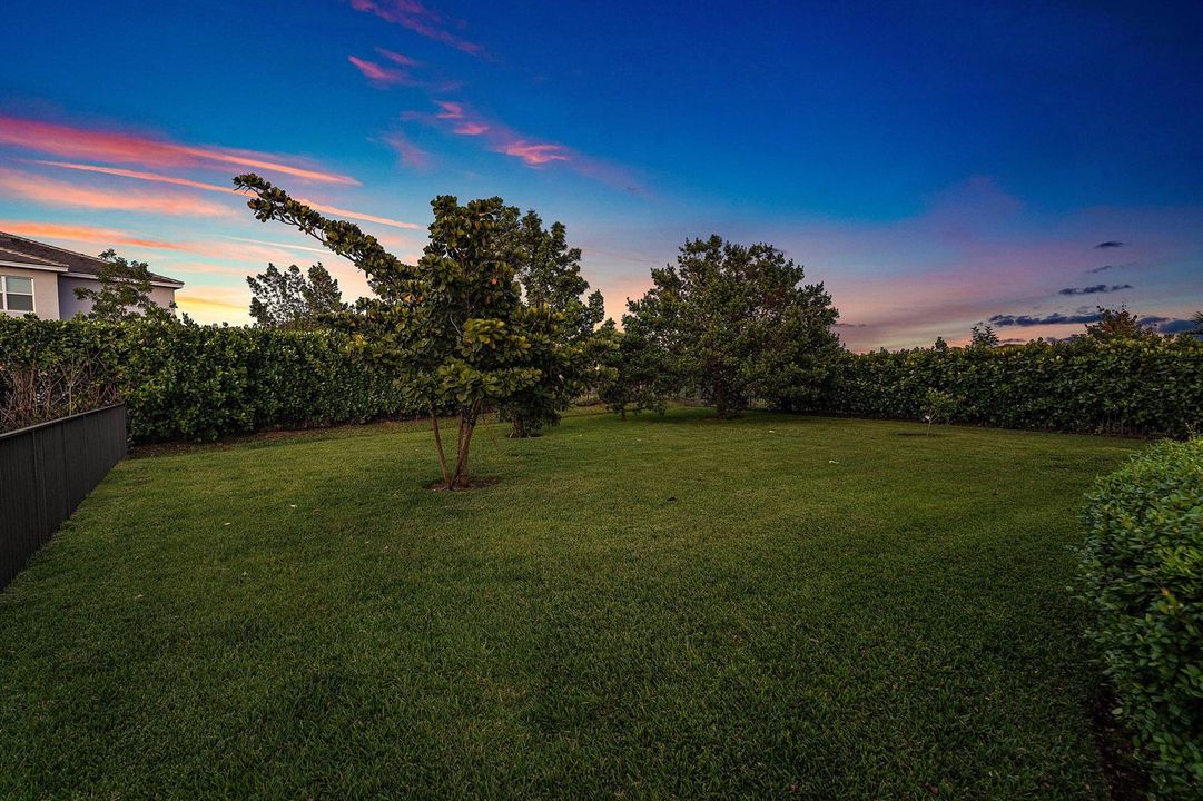 back yard