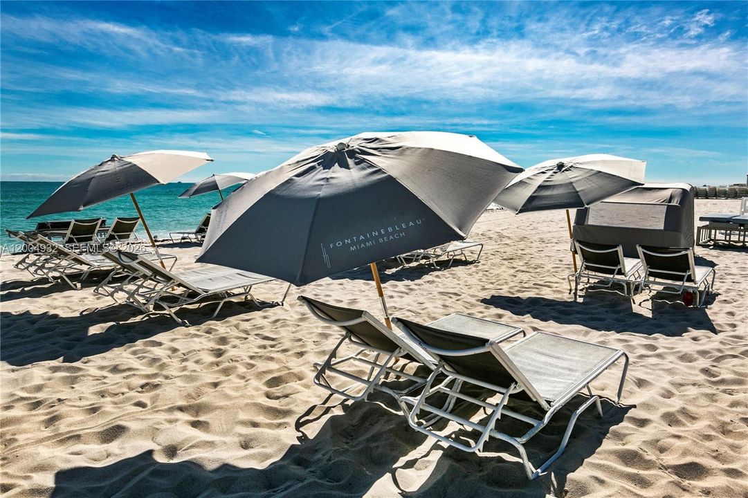 Beach service