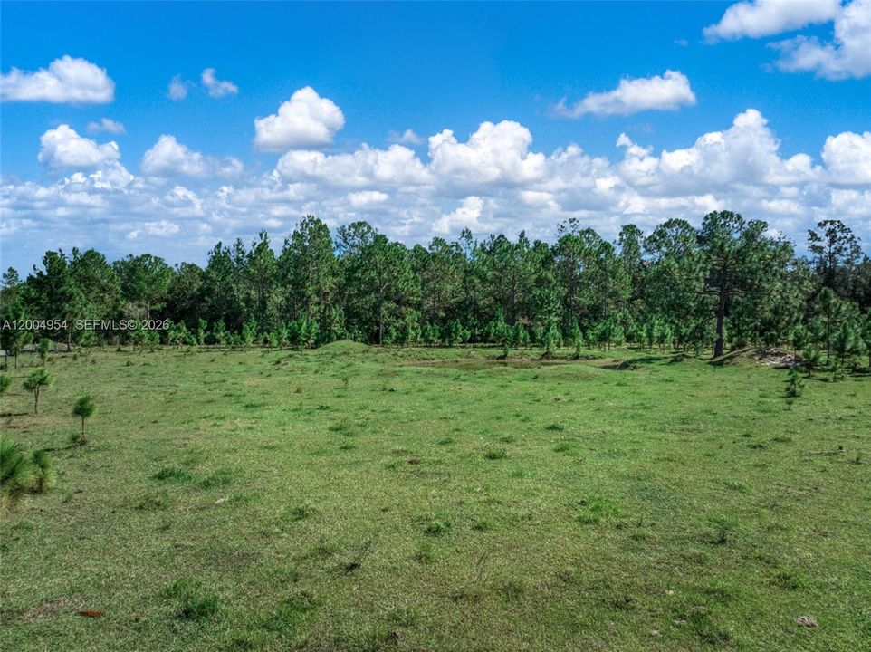 For Sale: $240,000 (2 beds, 2 baths, 1064 Square Feet)