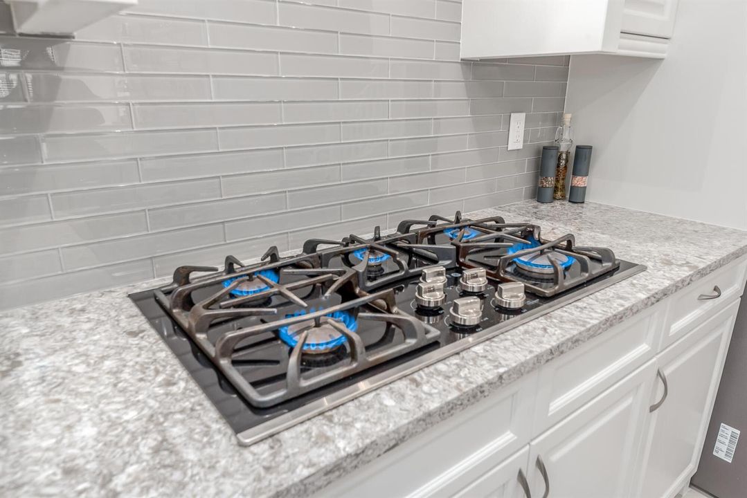 Gas Stove