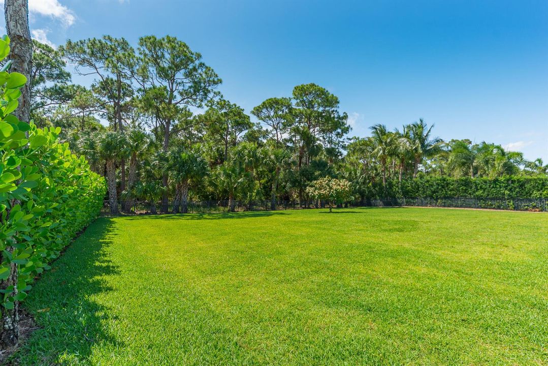Backyard Corner to preserve