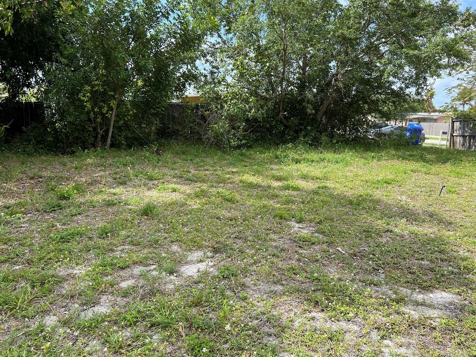 4310 Backyard 2
