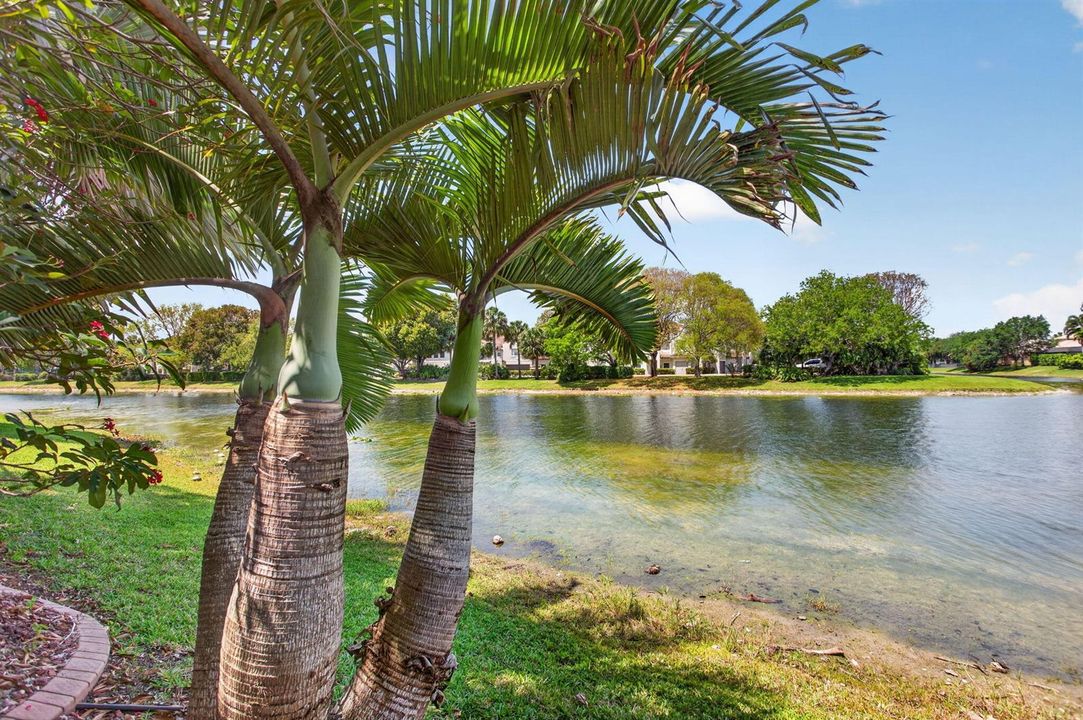 29-web-or-mls-6443-0574