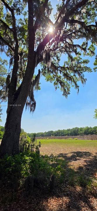 На продажу: $430,000 (40.00 acres)