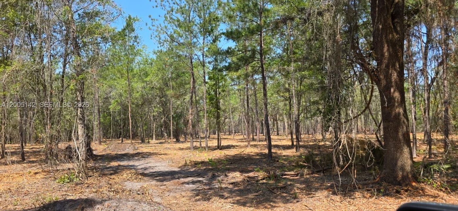 На продажу: $430,000 (40.00 acres)