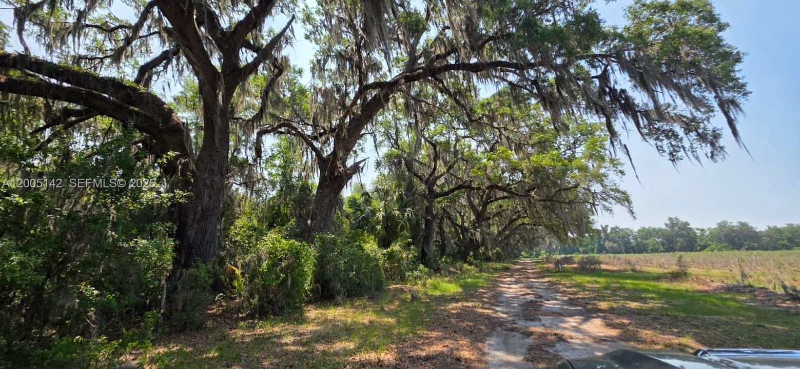 На продажу: $430,000 (40.00 acres)