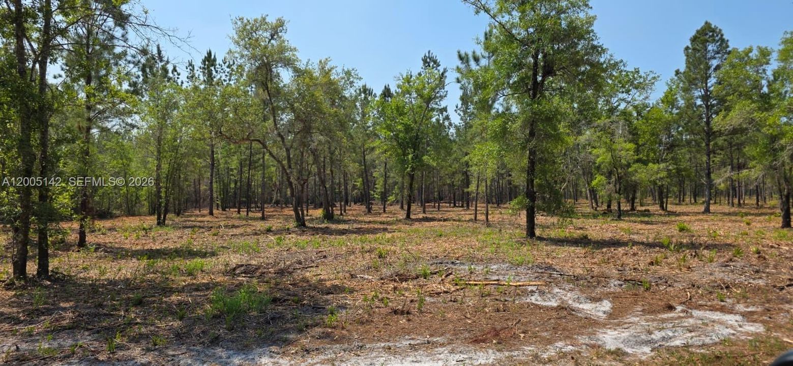 На продажу: $430,000 (40.00 acres)