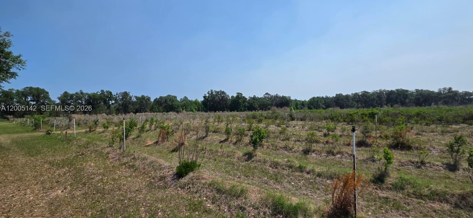 На продажу: $430,000 (40.00 acres)