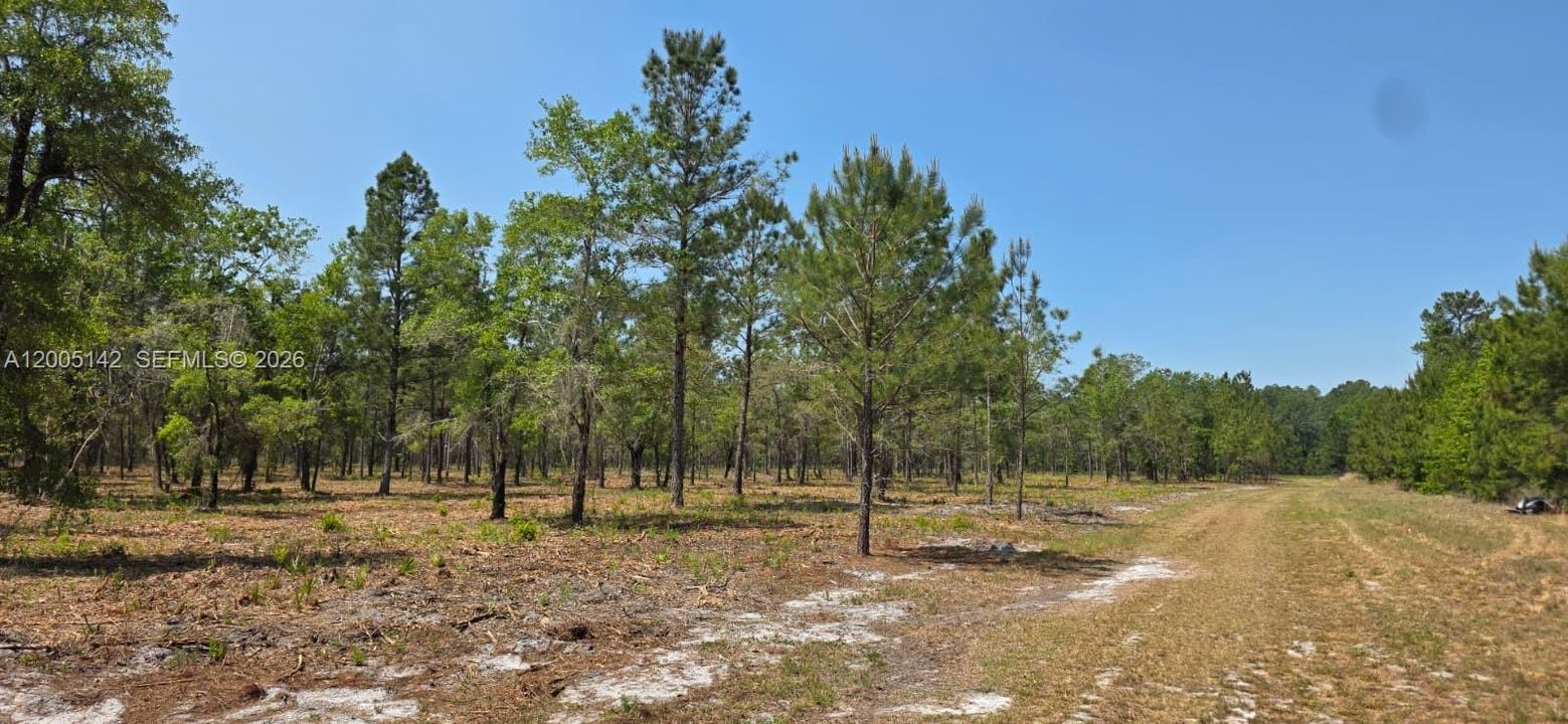 На продажу: $430,000 (40.00 acres)