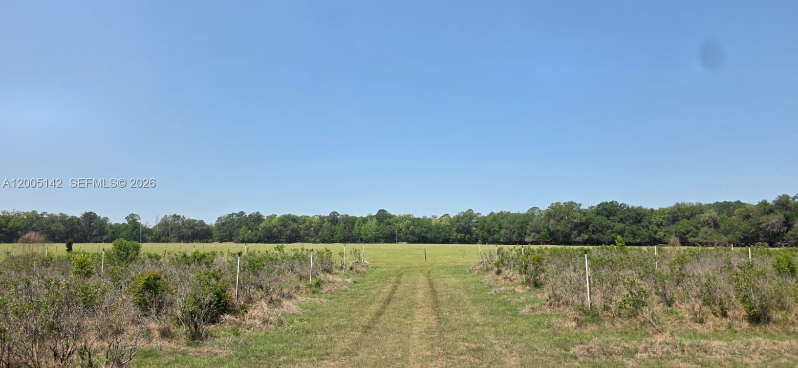 На продажу: $430,000 (40.00 acres)