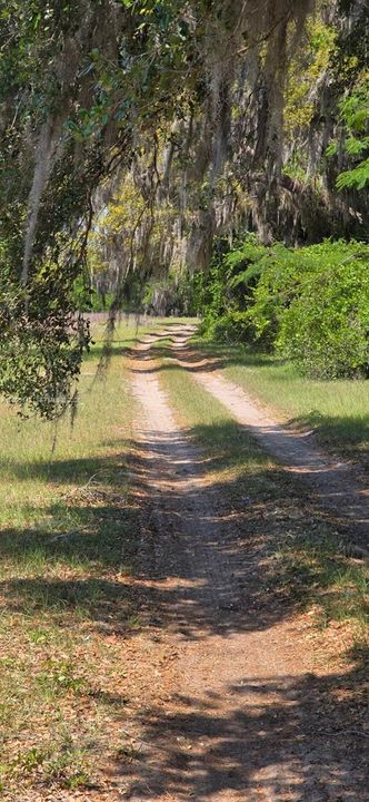 На продажу: $430,000 (40.00 acres)