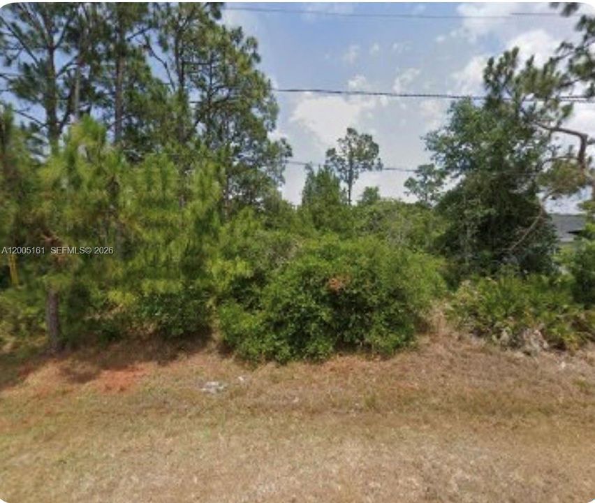 最近售出: $27,000 (0.23 acres)