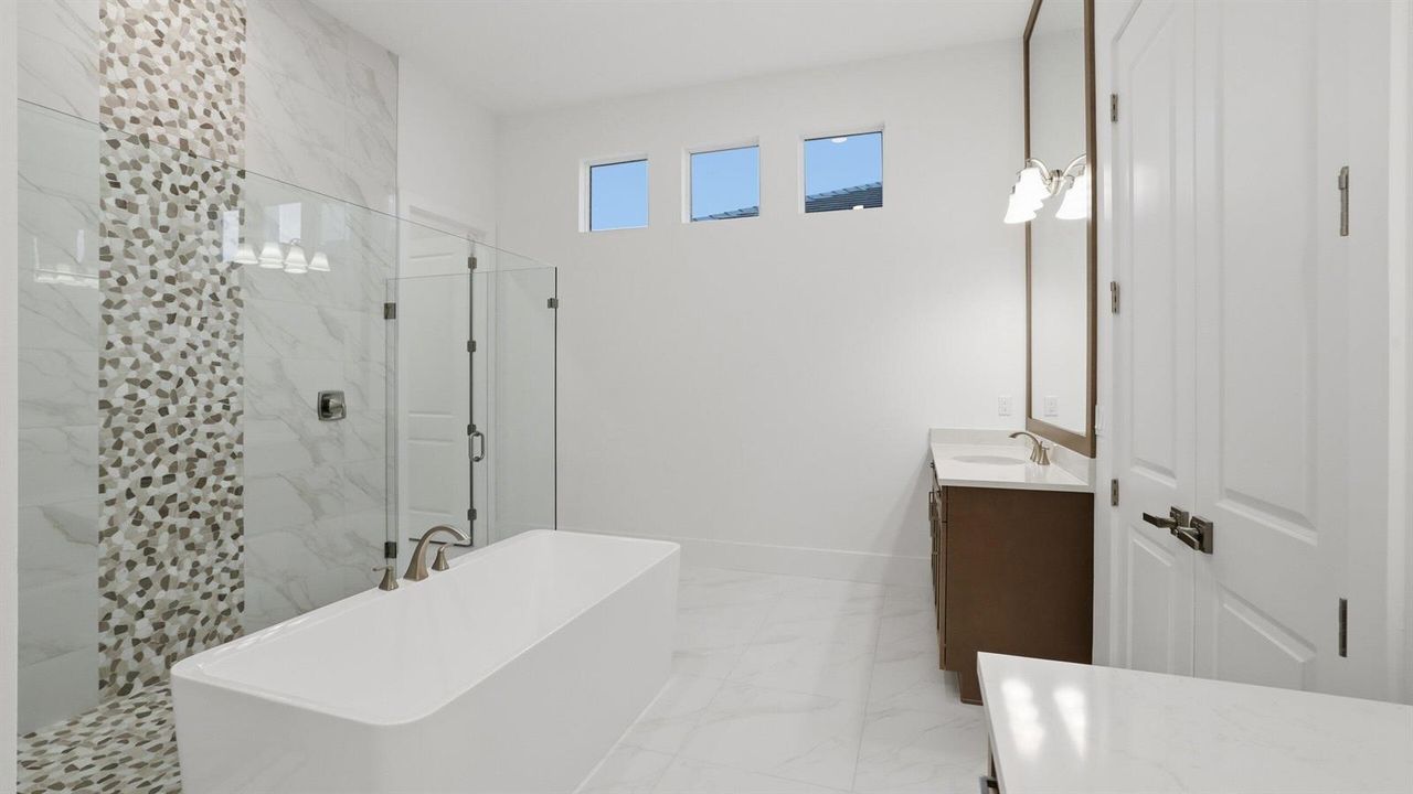 Owner's Bath