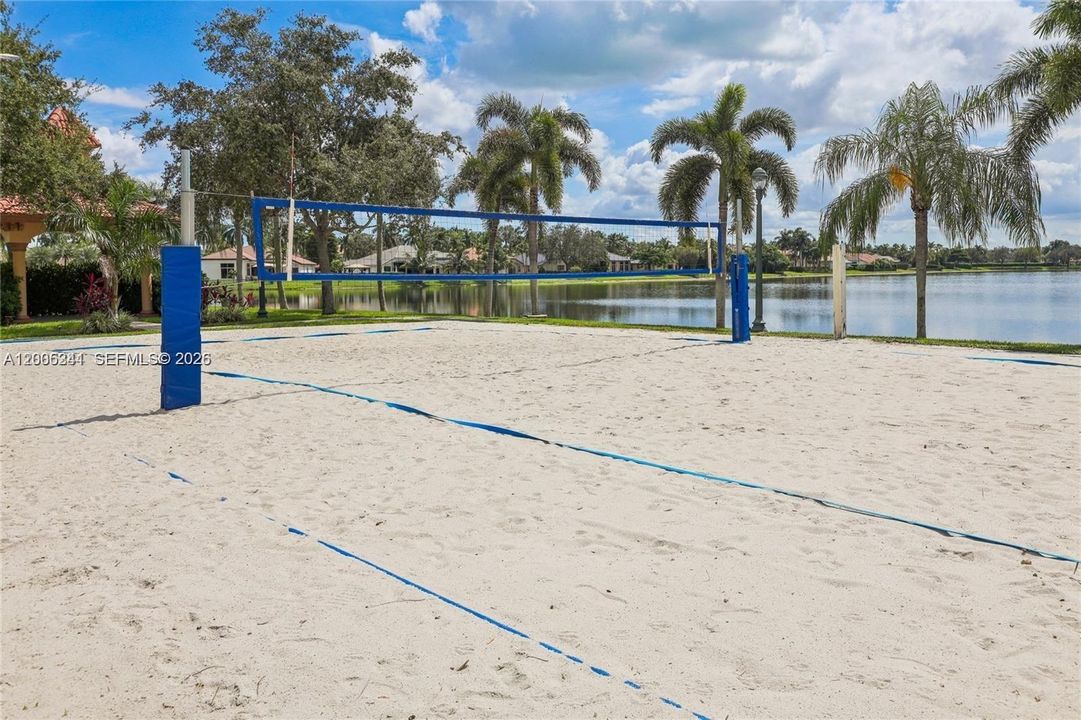 Volleyball