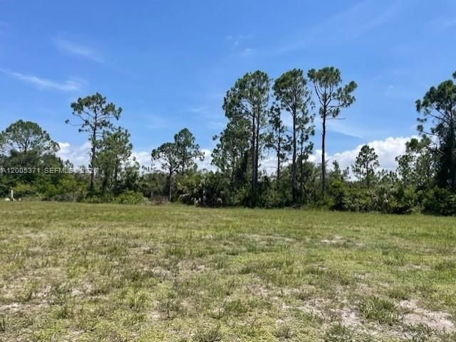 На продажу: $160,000 (0.60 acres)