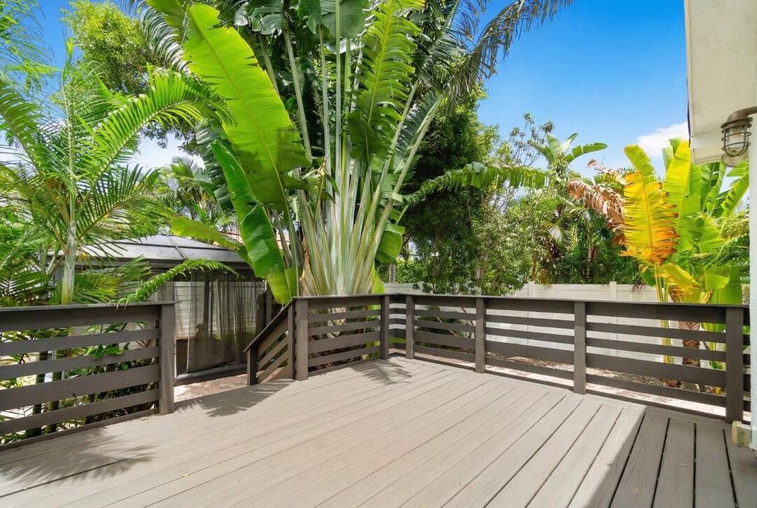 Back Patio 2