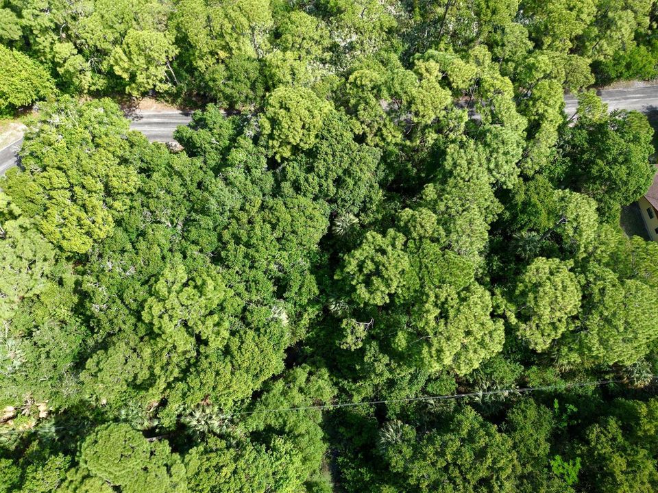 dji_fly_20260416_105342_0098_17763537522