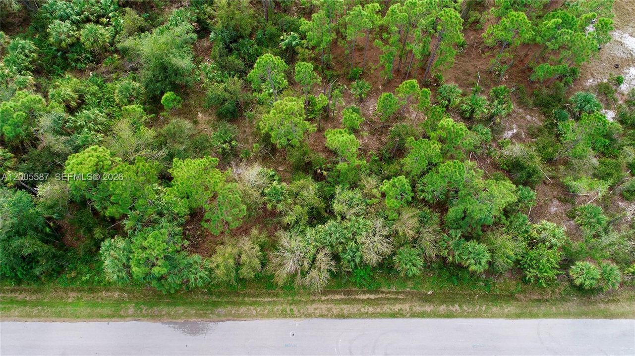 For Sale: $14,500 (0.18 acres)